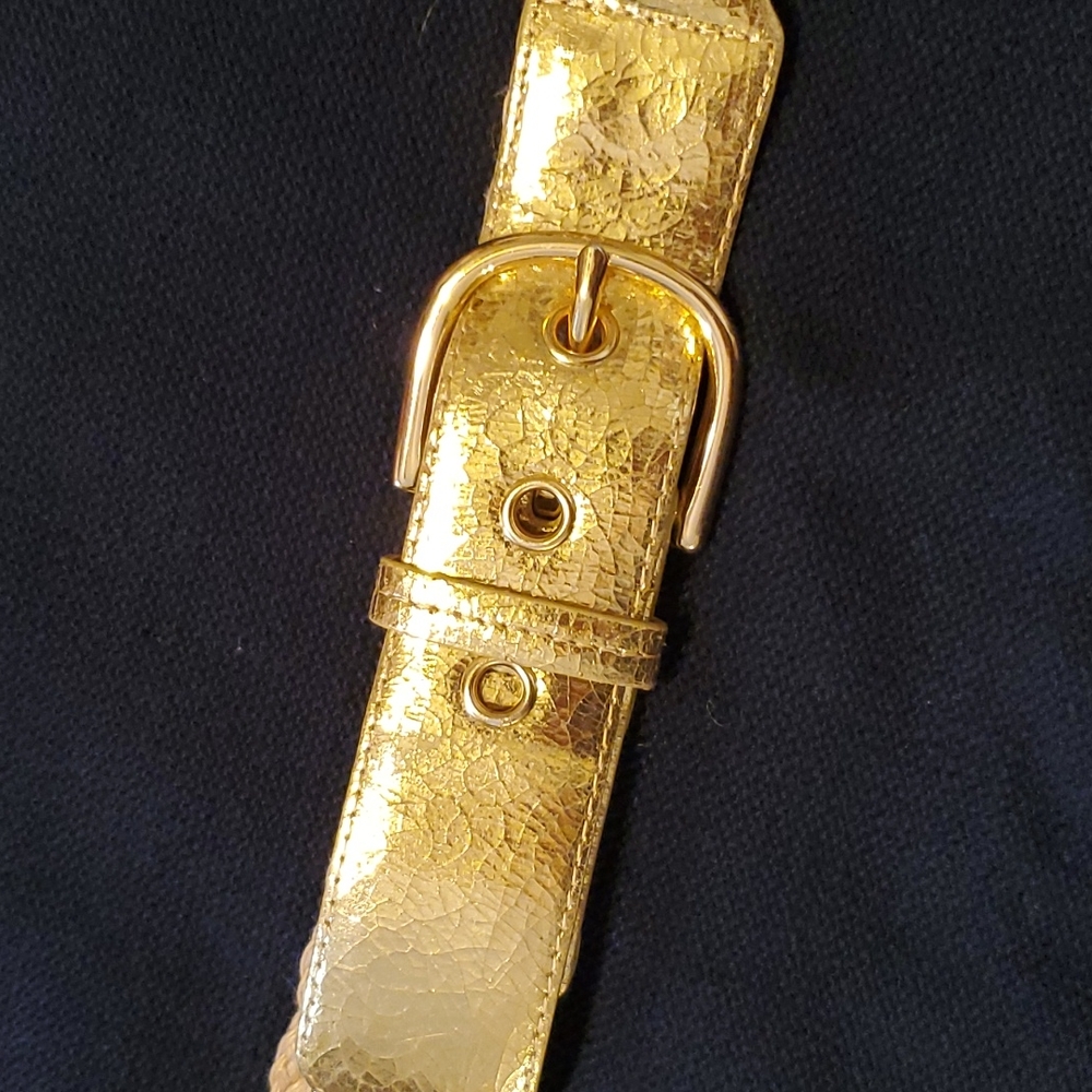 VTG GORGEOUS BELT - Picture 5 of 10